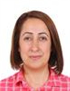 Bölüm Başkanı
